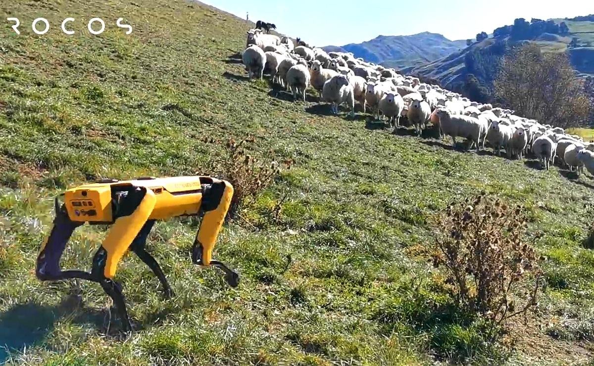 Spot, el perro robot, ahora también habla gracias a ChatGPT