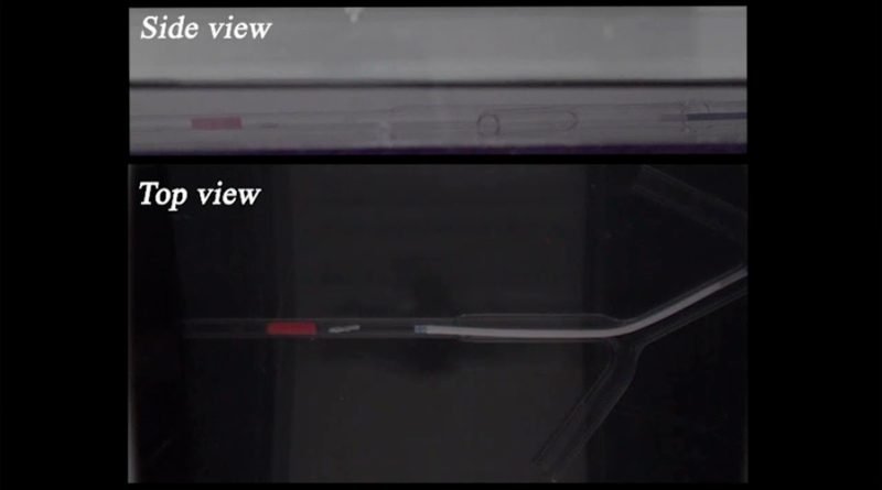 Image default